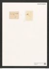 Schizonema hyalinum (Kuetz.) Rabenh. (de-Toni-Nr.: Genus 20, Species 1189) Zeichnungen Sammlung Grunow (NHMW-BOT-W0369416)